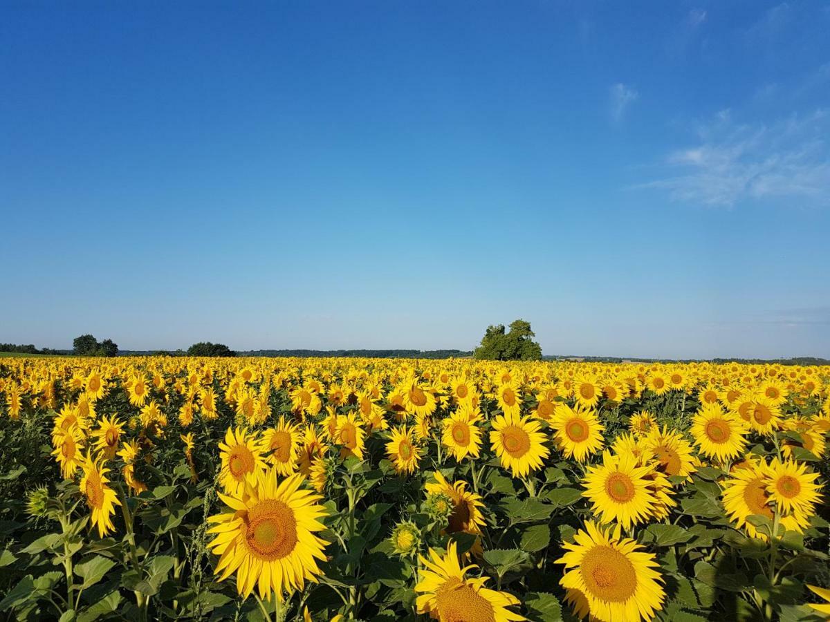 Вилла Langlade Estate Montboyer Экстерьер фото