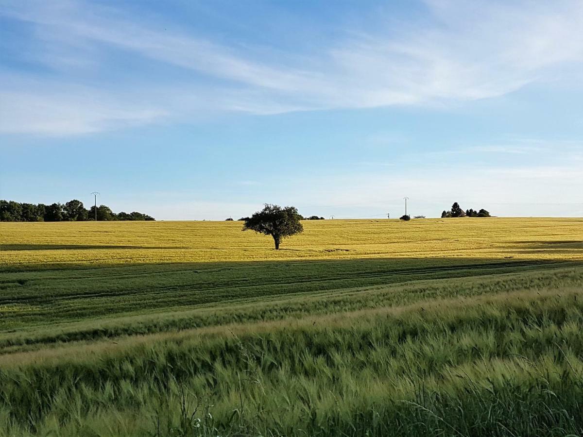 Вилла Langlade Estate Montboyer Экстерьер фото